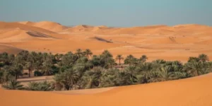 Gassim