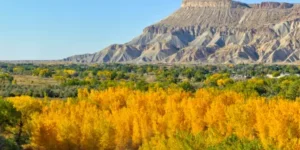 Grand Junction