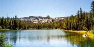 Mammoth Lakes Office
