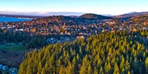 Bellingham