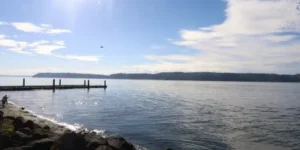 Everett
