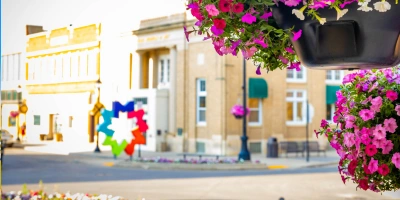 Minot