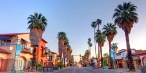 Palm Spring