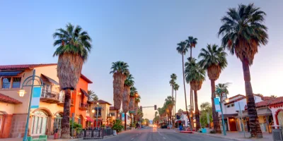 Palm Spring